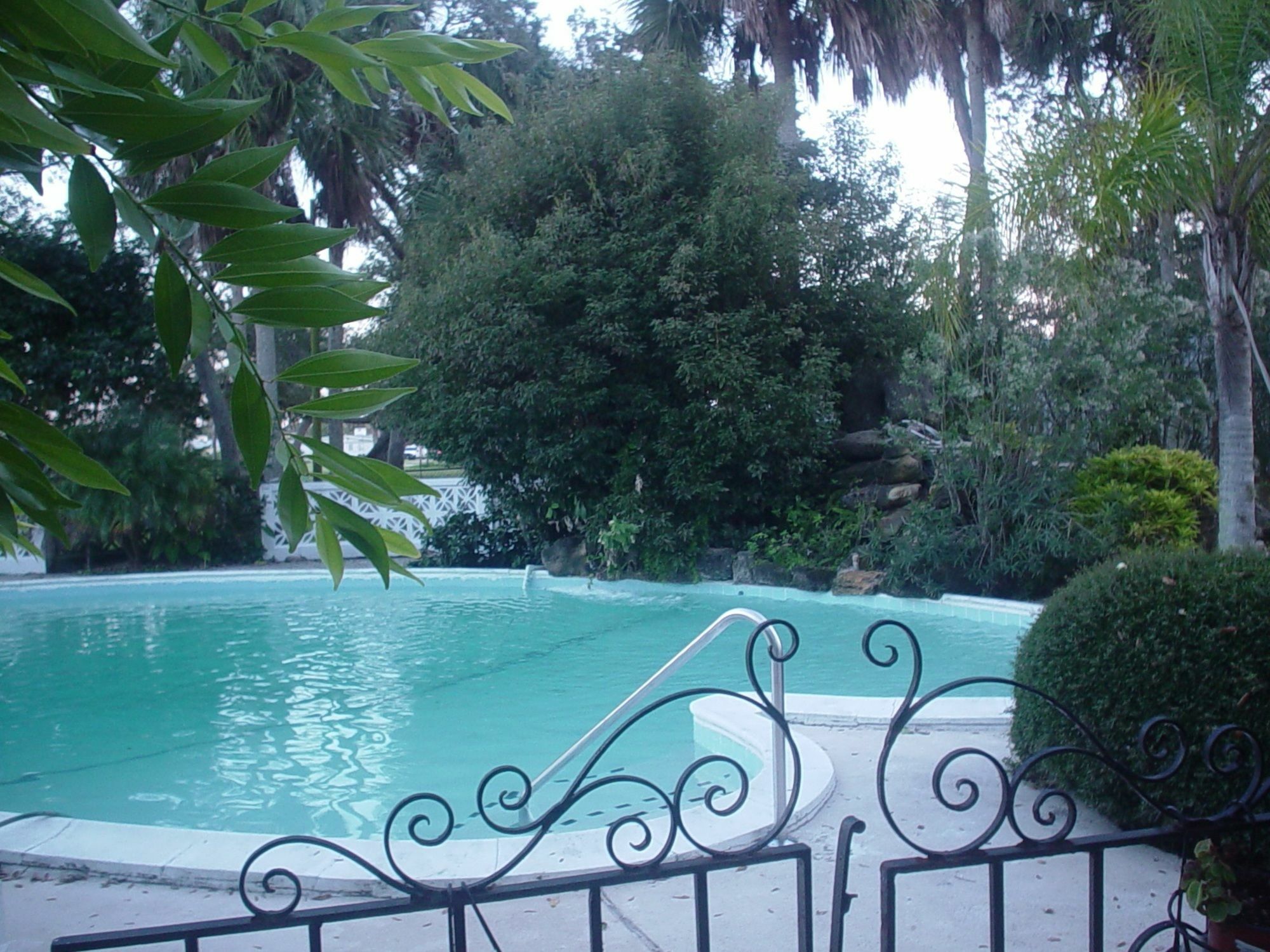 The River Lily Daytona Beach Bekvämligheter bild